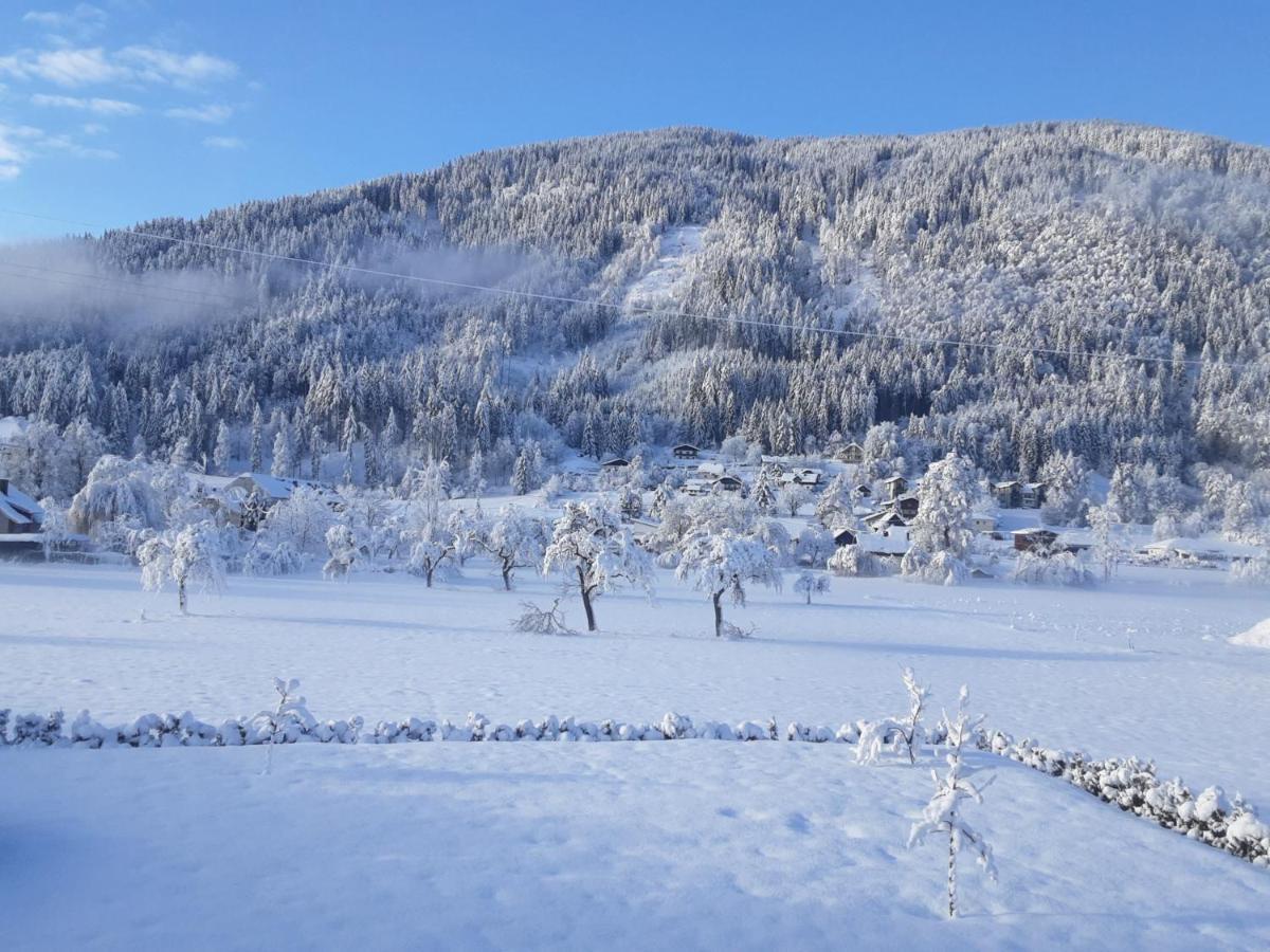 Apartment-Ferienwohnung 3 Treffen Am Ossiachersee Екстериор снимка